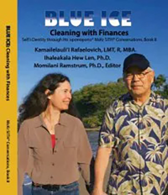 Blue Ice - Cleaning with Finances